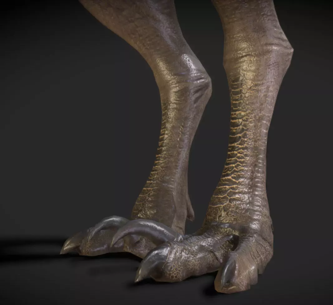 Kelenken V2 Low-poly 3D model_4