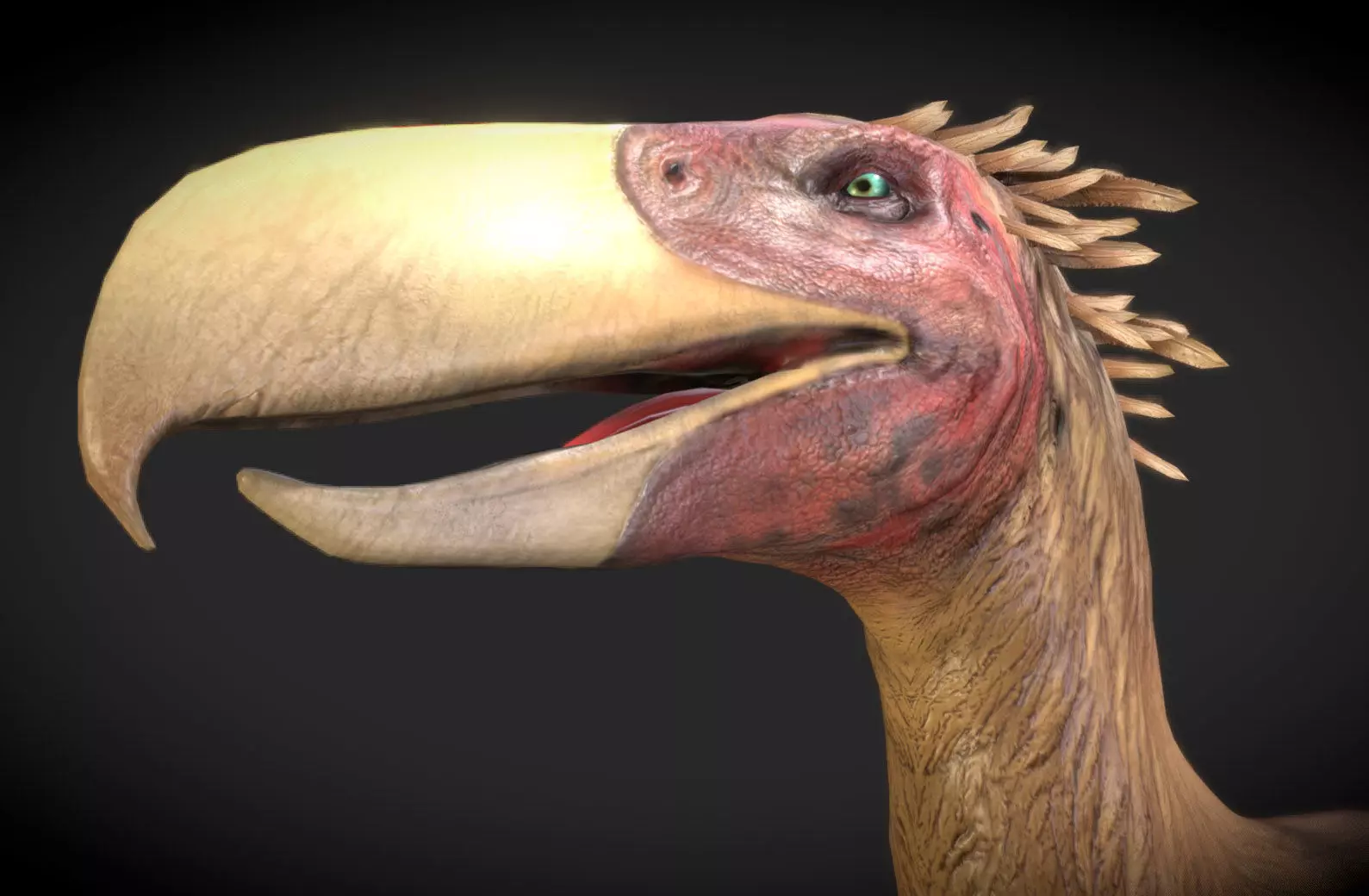 Kelenken V2 Low-poly 3D model_0