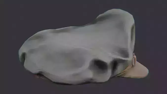 US Army Officer Cap Emblem