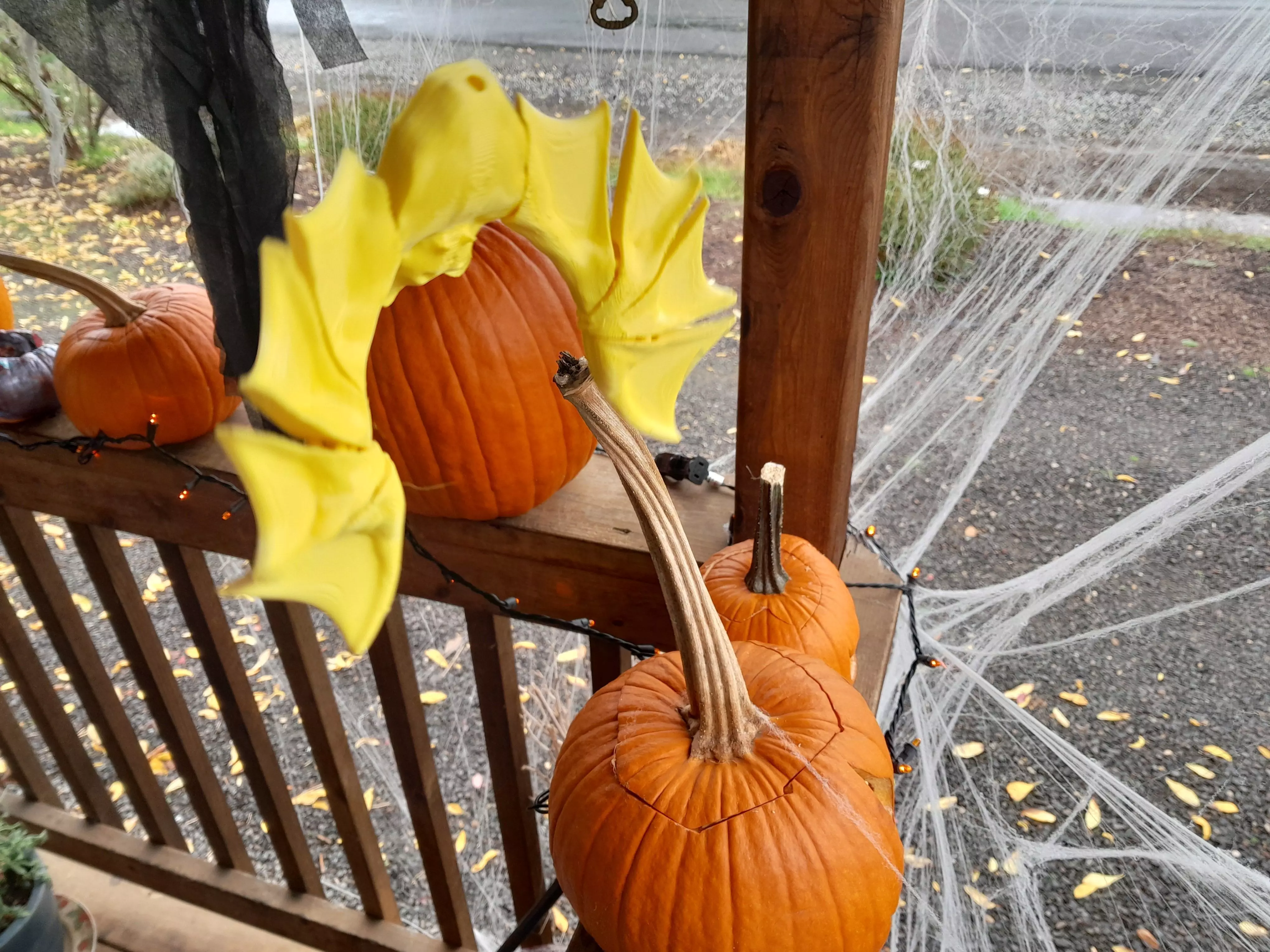 Flexy Fidget Bat and Halloween decoration  3D print model_8