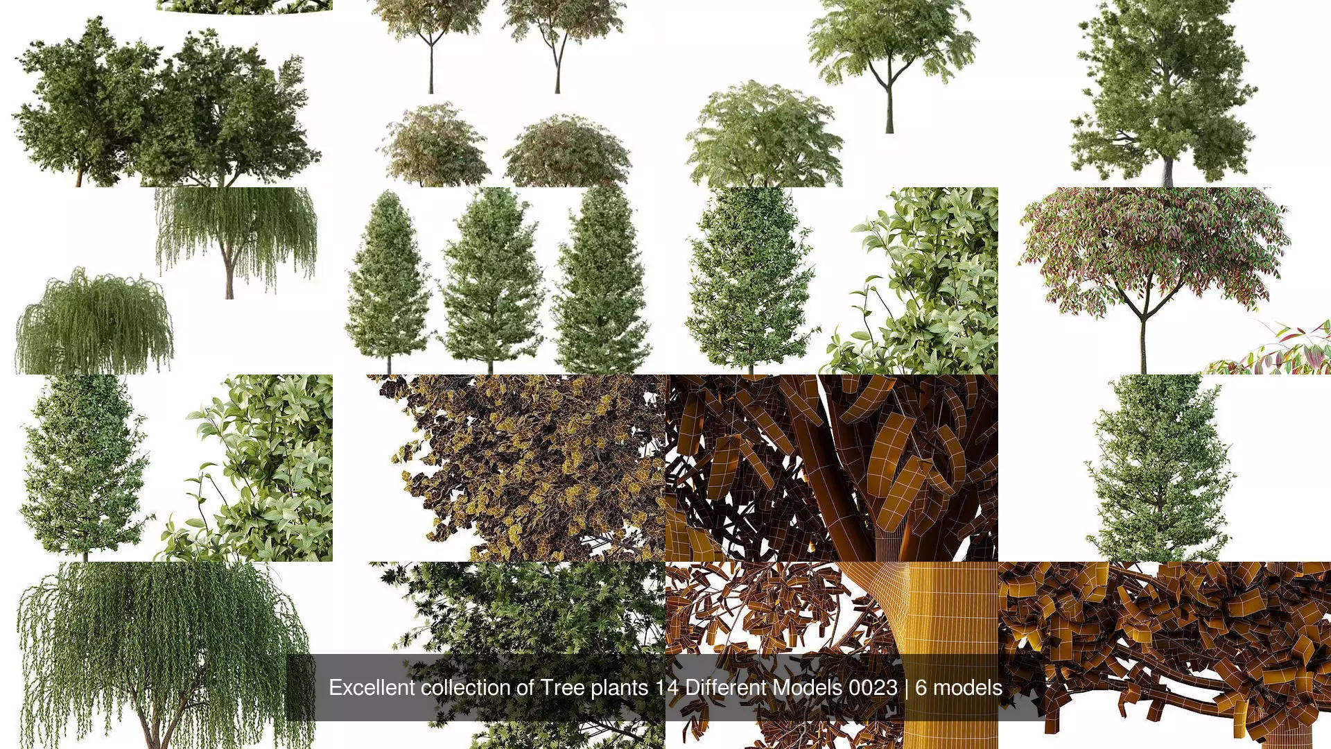 Excellent collection of Tree plants 14 Different Models 0023 _1