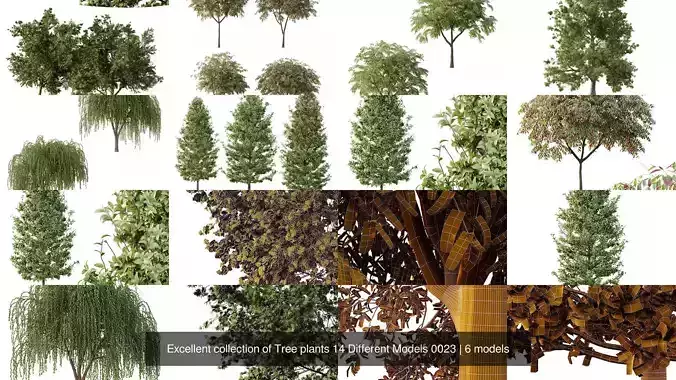 Excellent collection of Tree plants 14 Different Models 0023