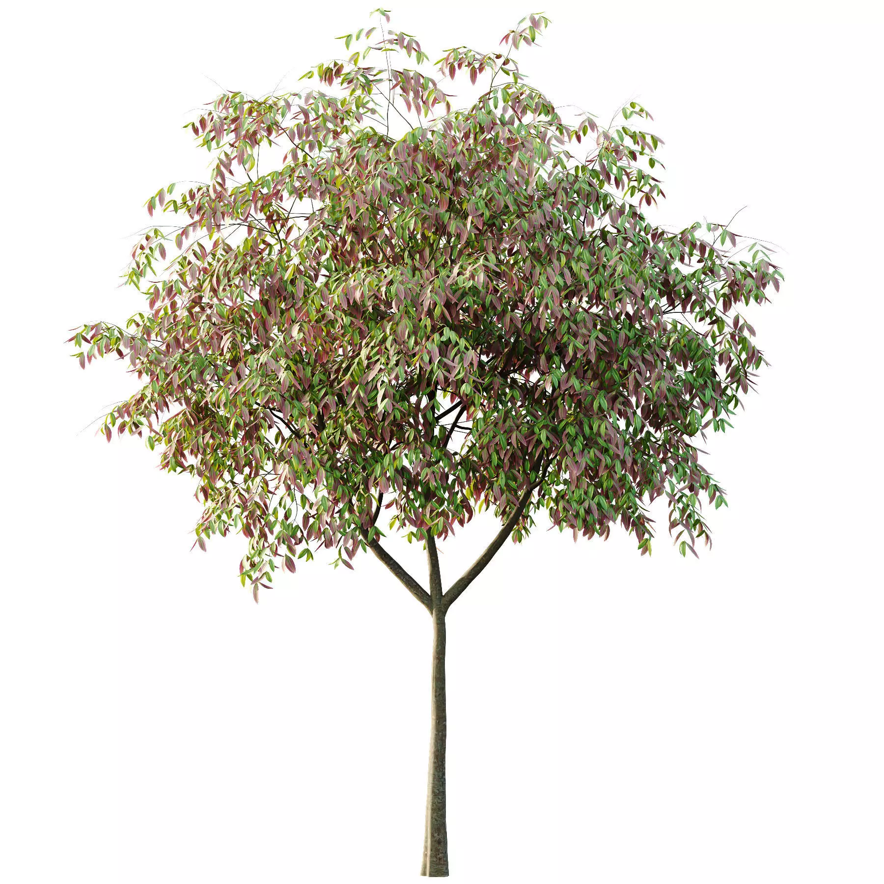 Excellent collection of Tree plants 14 Different Models 0023 _13