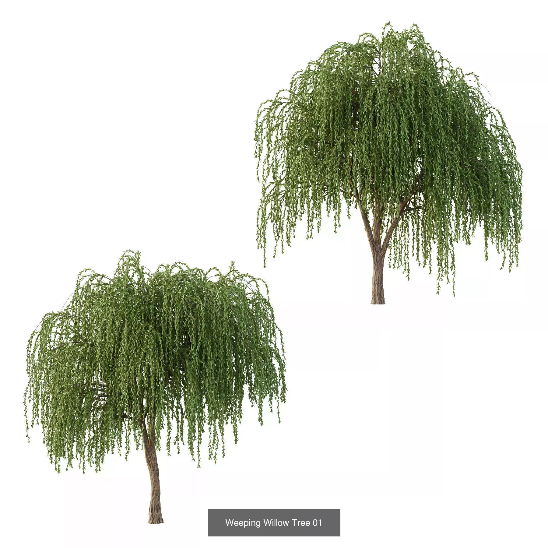 Excellent collection of Tree plants 14 Different Models 0023 _6