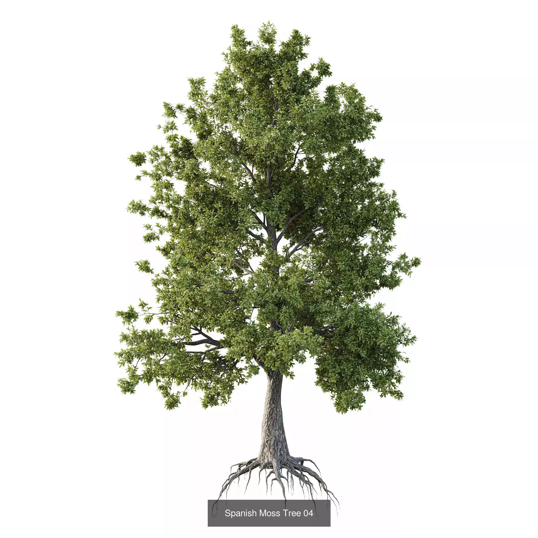 Excellent collection of Tree plants 14 Different Models 0023 _5