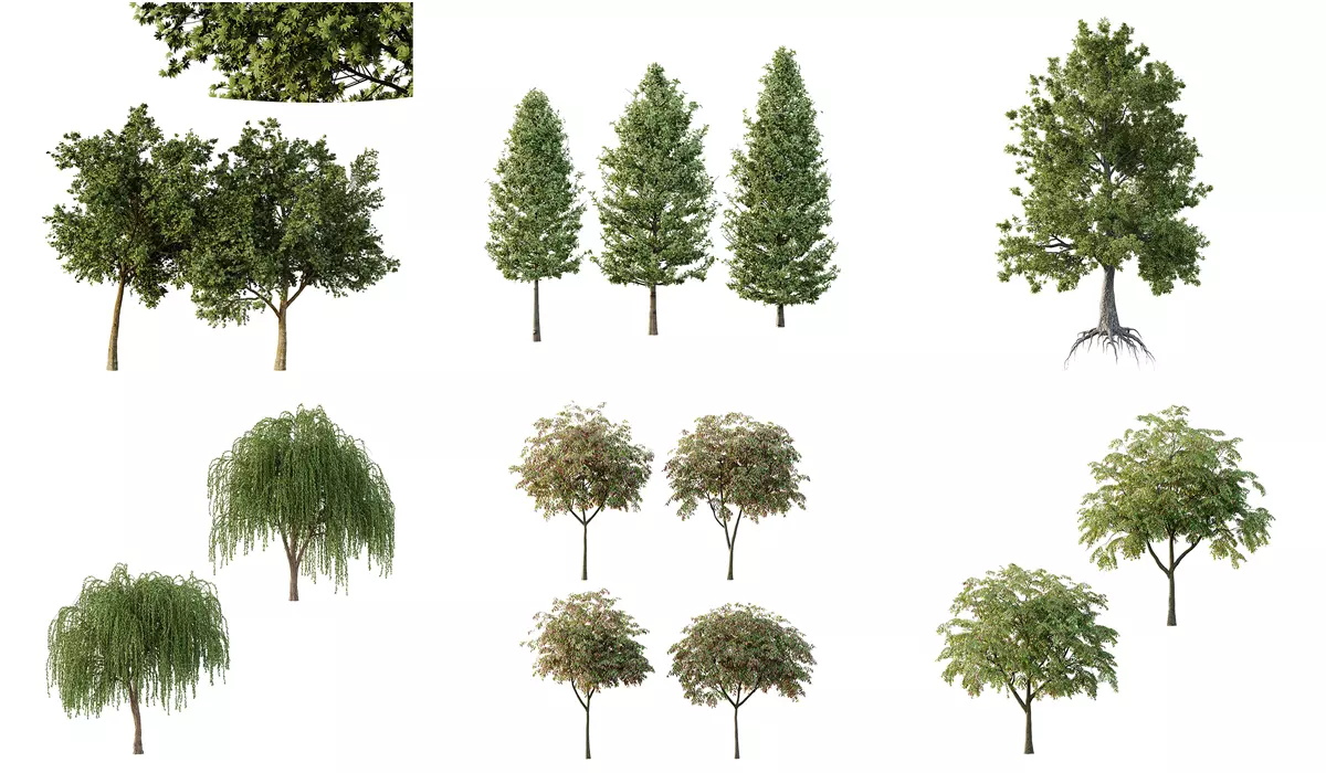 Excellent collection of Tree plants 14 Different Models 0023 _0