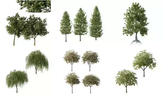 Excellent collection of Tree plants 14 Different Models 0023