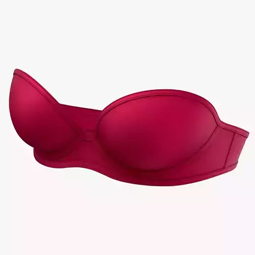Strapless Bra