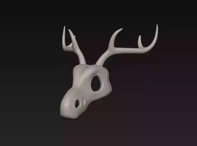 Deer Skull