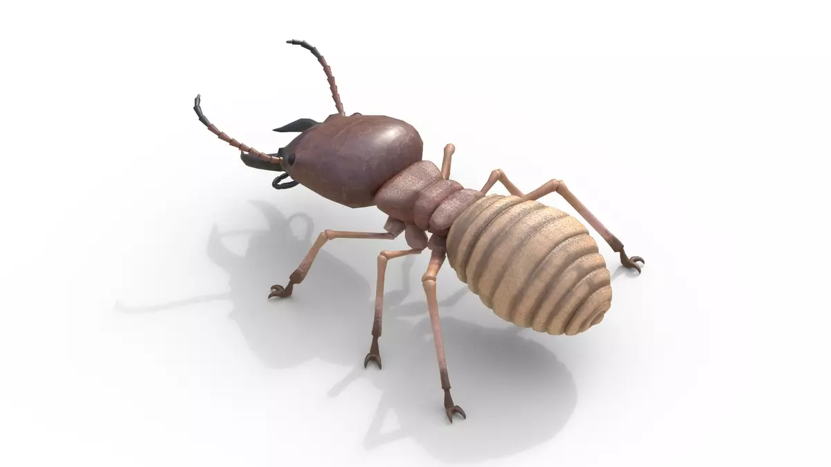 Termite Insect Rigged 3d model Free 3D model_2