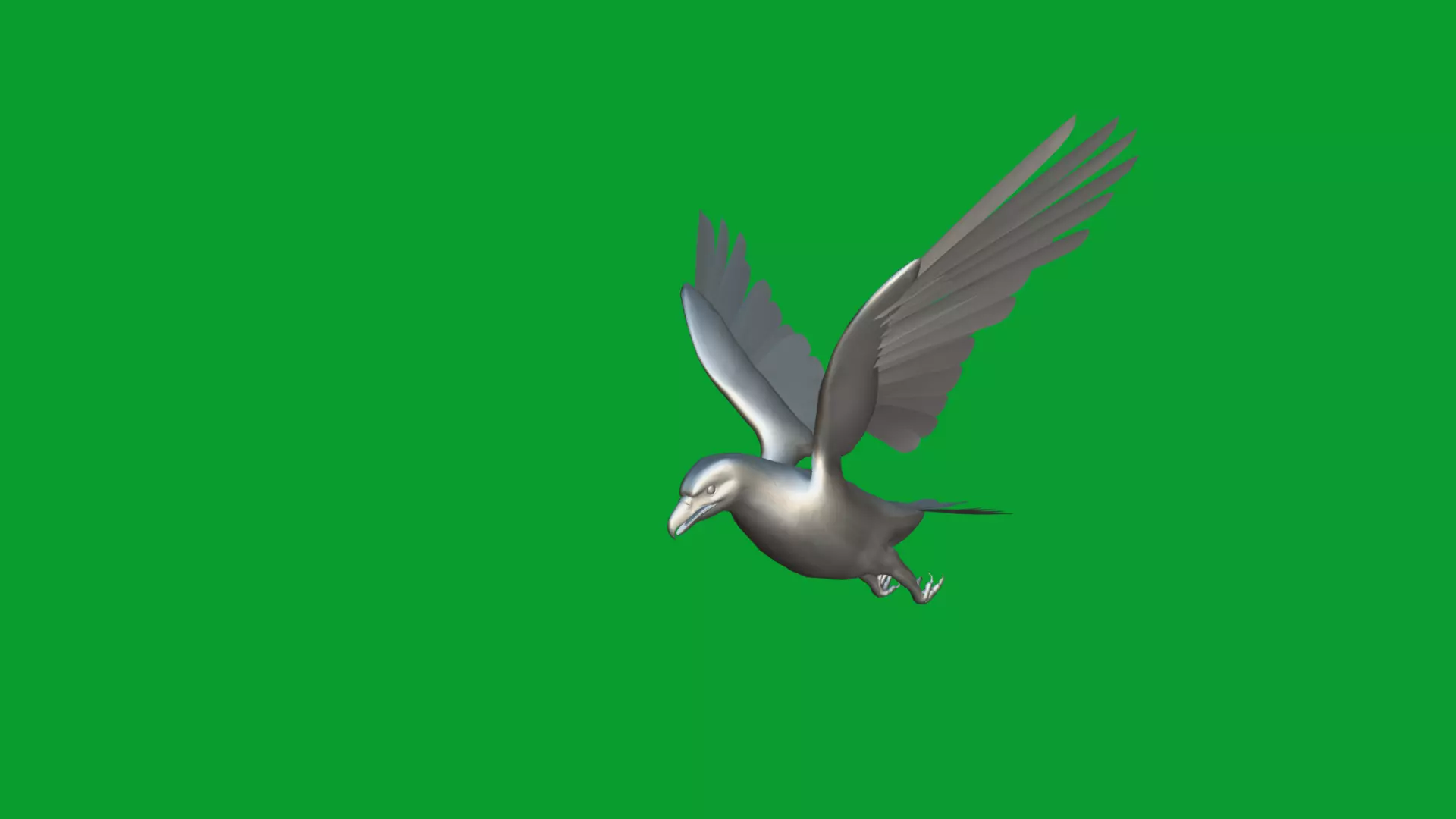 White Tailed Eagle Low-poly 3D model_15