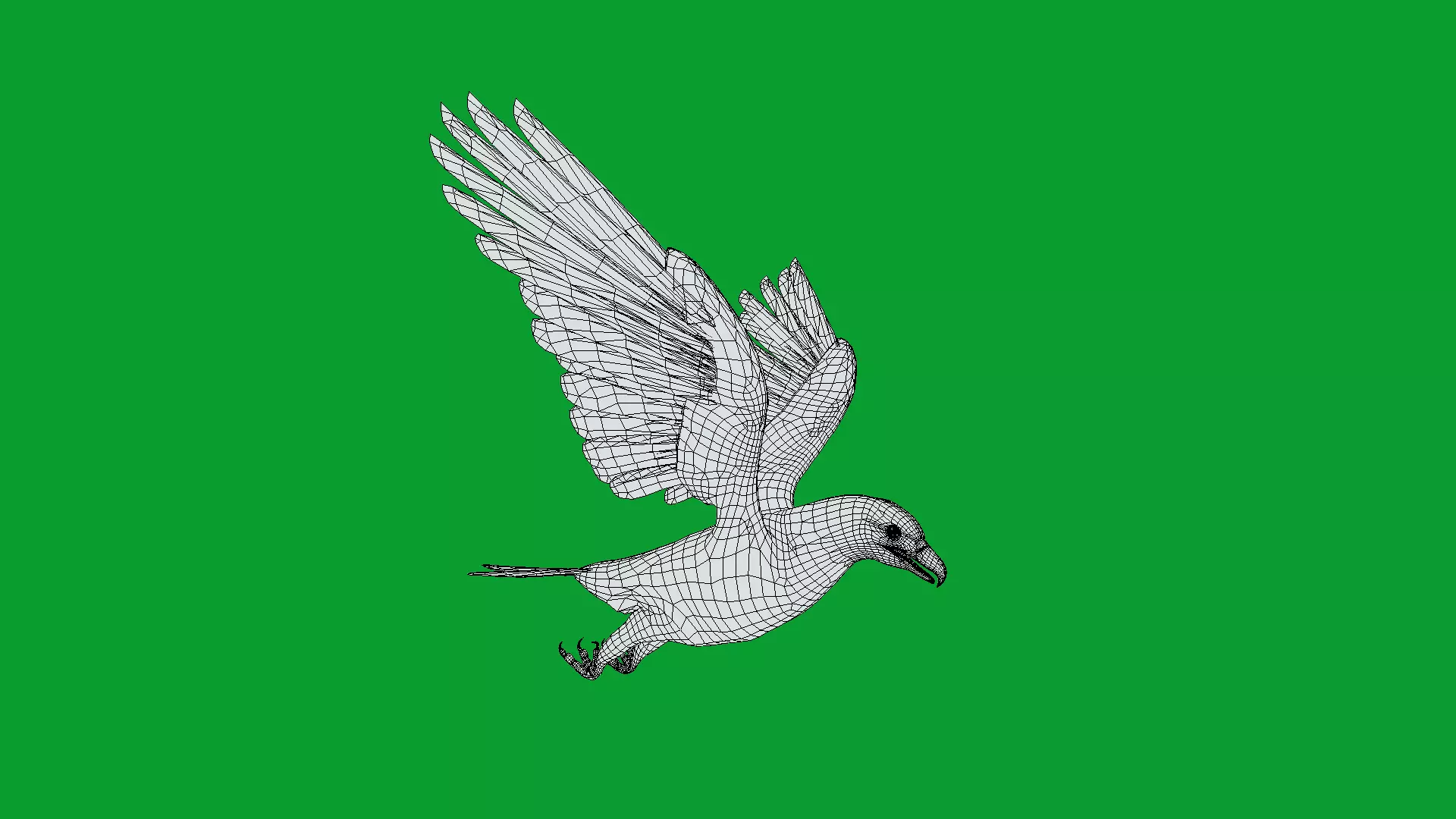 White Tailed Eagle Low-poly 3D model_17