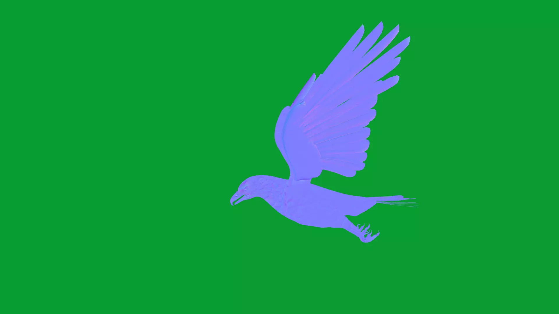 White Tailed Eagle Low-poly 3D model_11