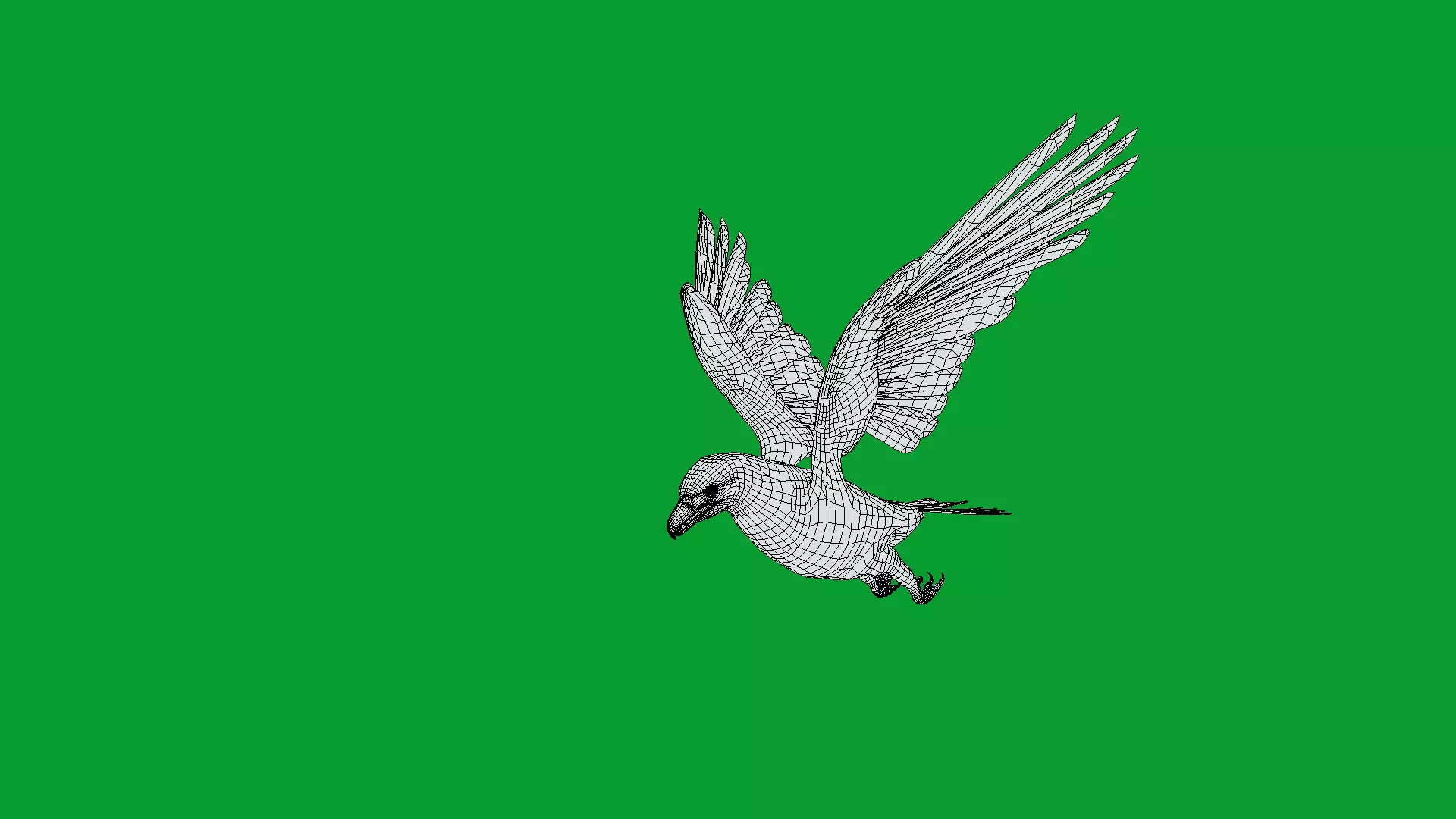 White Tailed Eagle Low-poly 3D model_16