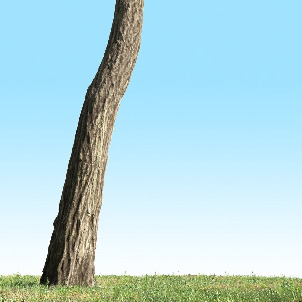 Archmodels vol 163 - high quality trees models 3D model_63