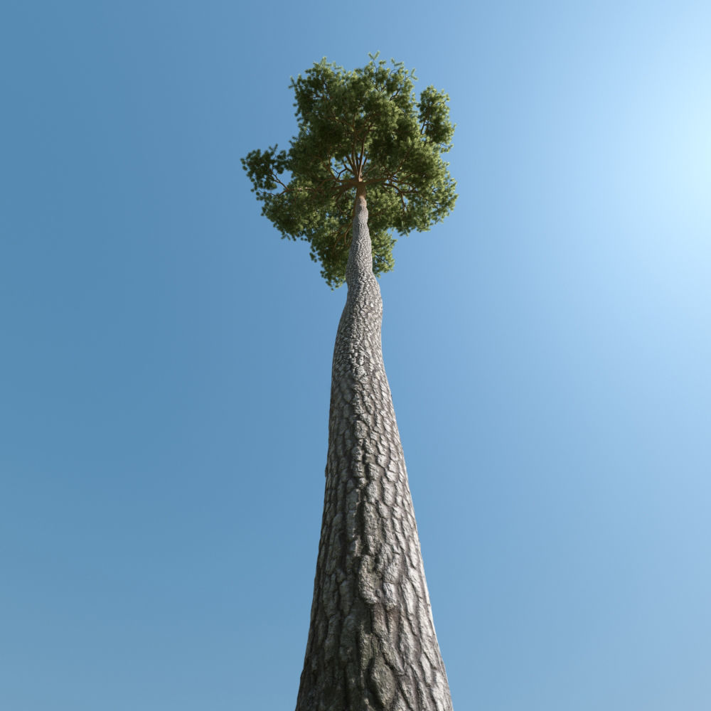 Archmodels vol 163 - high quality trees models 3D model_59