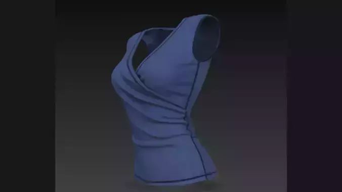 Sleeveless Ladies Top 3D Model 3D model