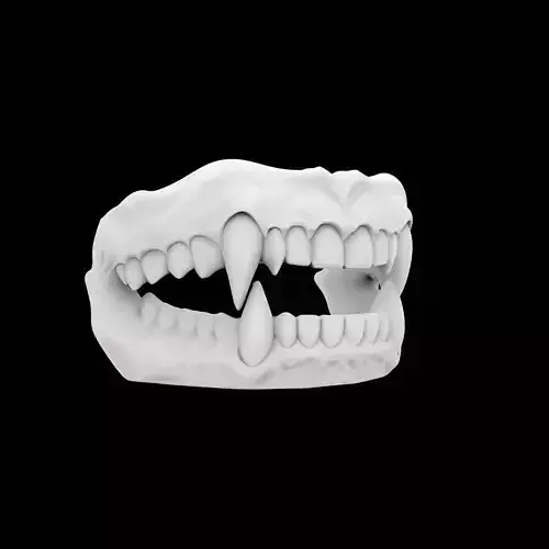Vampire Fangs Holder 3D Print Model
