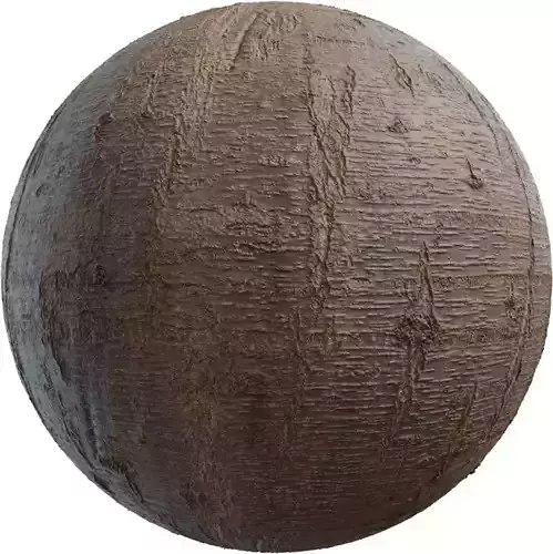 Realistic Tree Bark PBR Texture