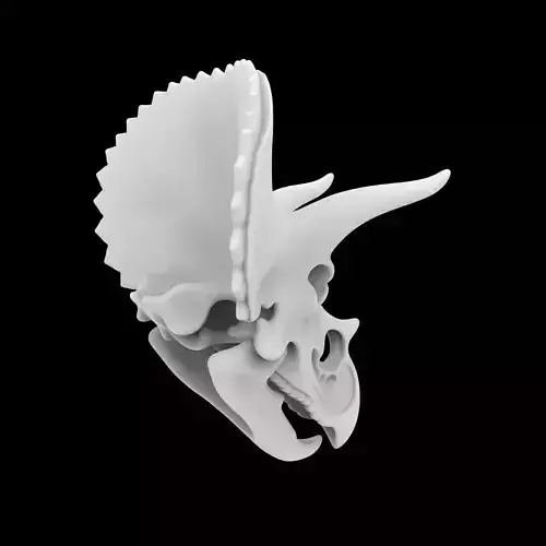 Triceratops Skull 3D Print Model