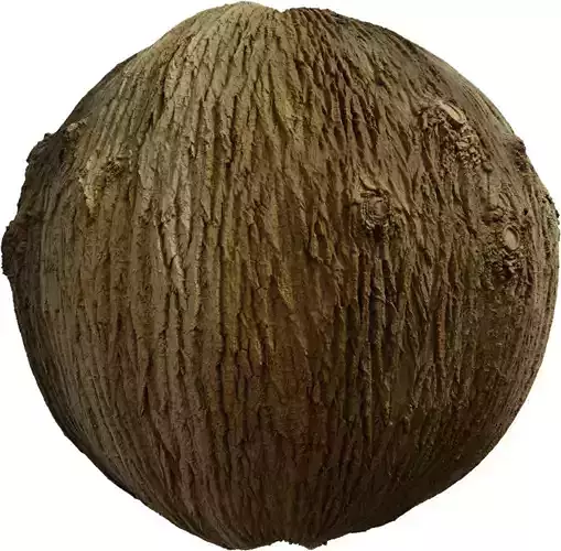 Deep Furrowed Tree Bark PBR Texture