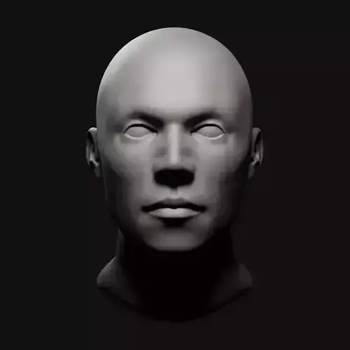 Artist Mannequin Basic Head Neutral