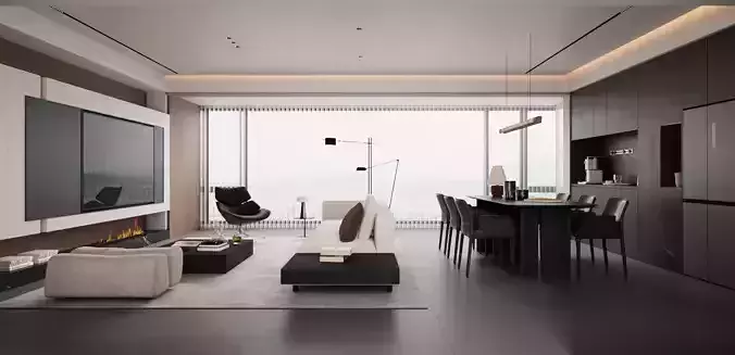 modern minimalist integrated living and dining room space