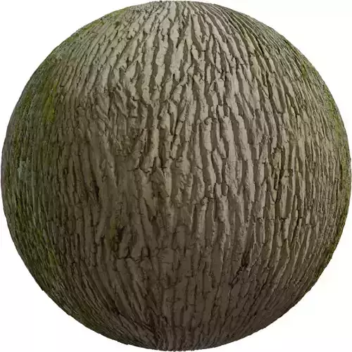 Mossy Oak Bark PBR Texture 4K 