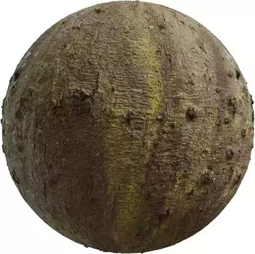 Muddy Forest Ground With Yellow Moss PBR Texture 4K