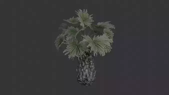 Palm Tree Foliage Small