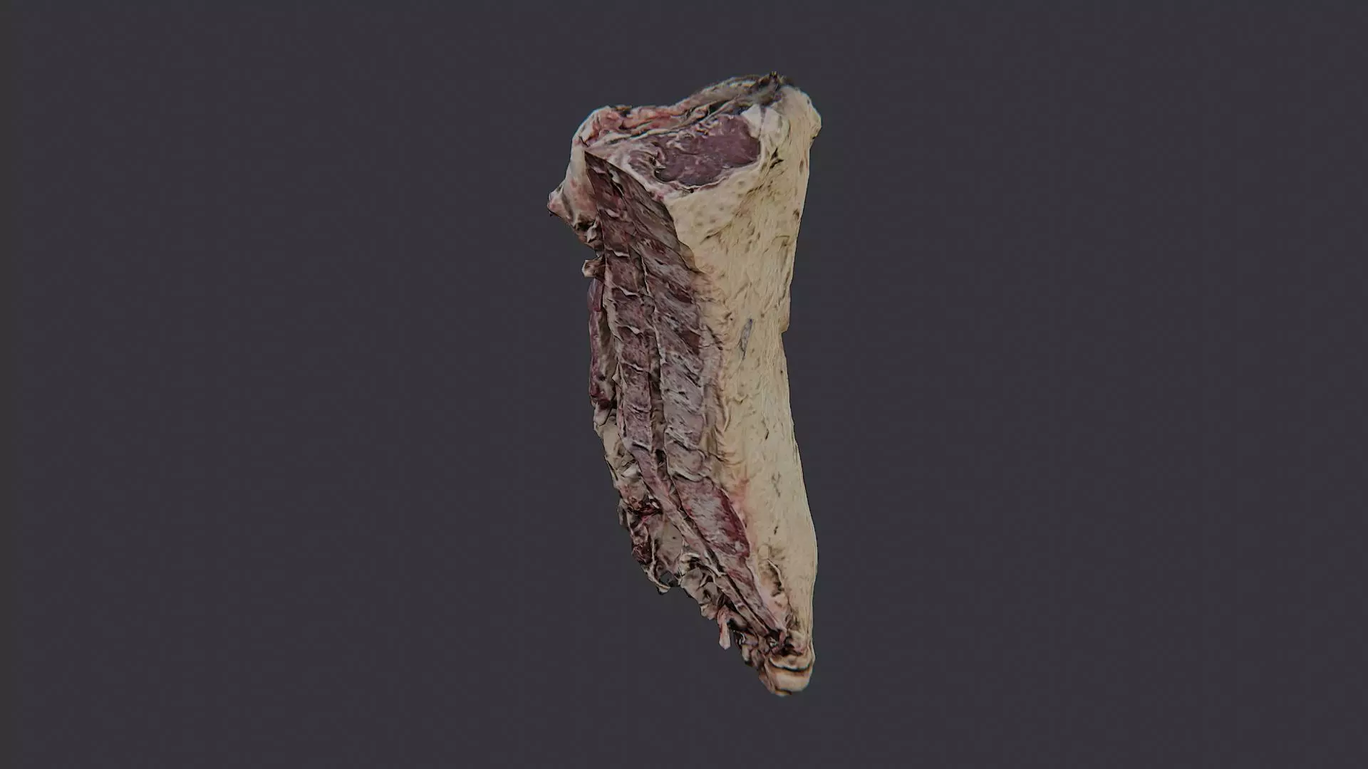 Raw Beef Cut Piece Low-poly 3D model_0