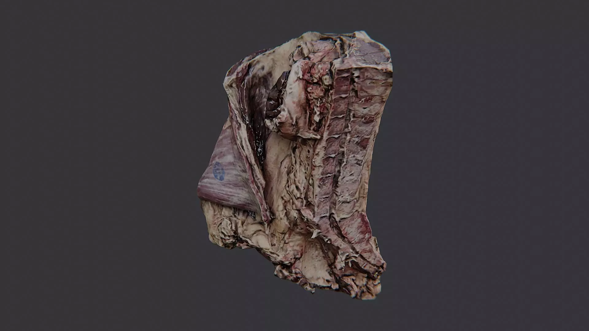 Raw Beef Cut Piece Low-poly 3D model_1