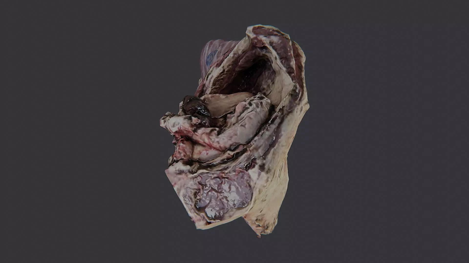 Raw Beef Cut Piece Low-poly 3D model_4