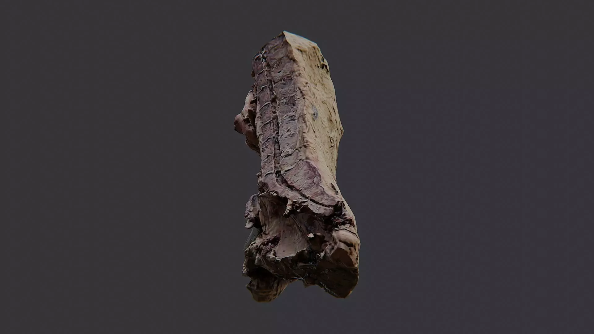 Raw Beef Cut Piece Low-poly 3D model_5