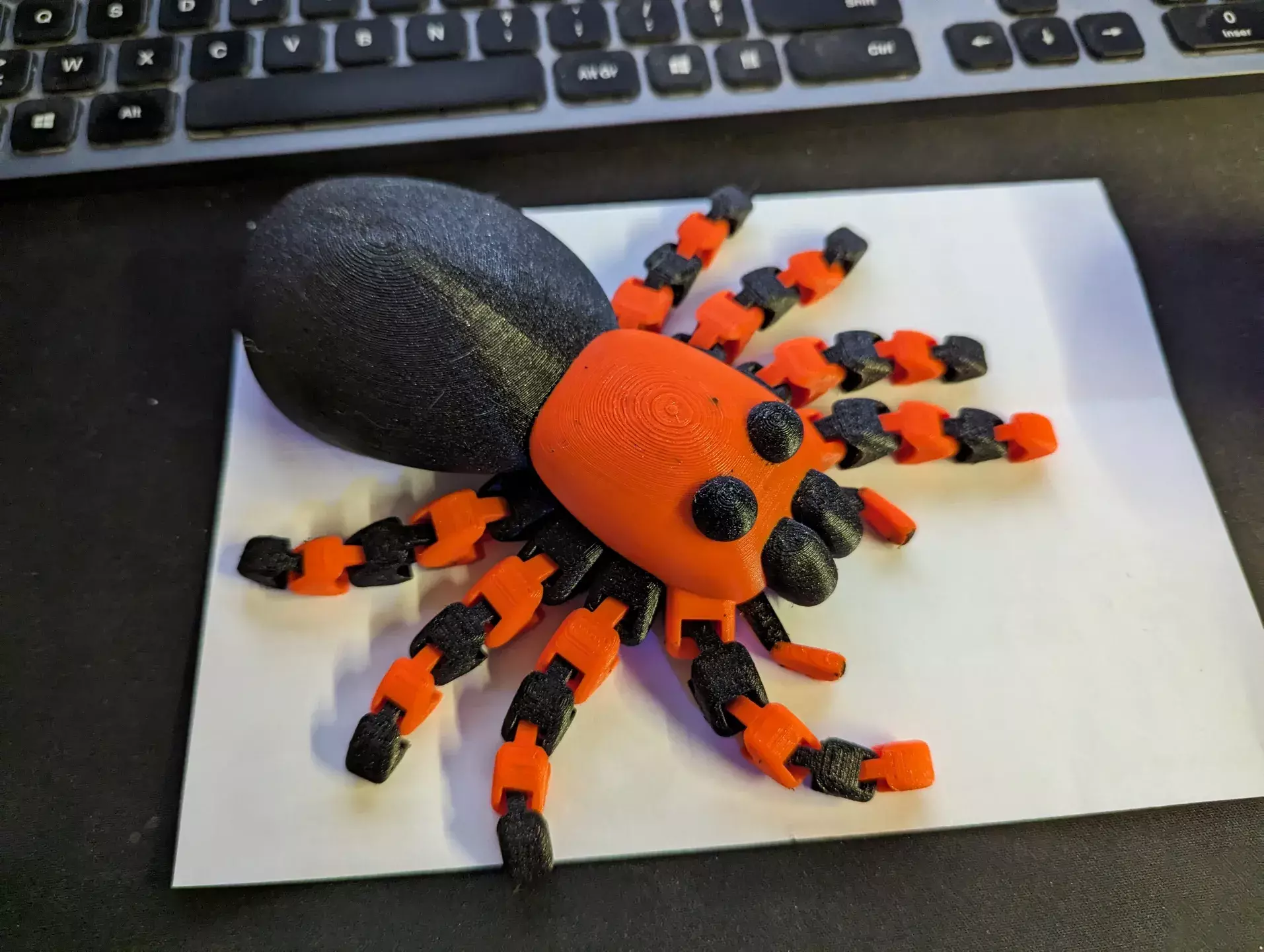 Articulated Tarantula Spider 3D print model_0