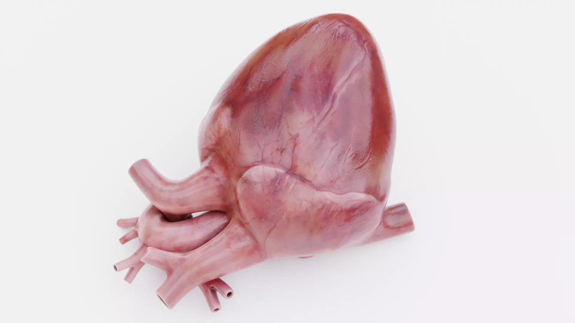 -Heart Animated- Low-poly 3D model_5