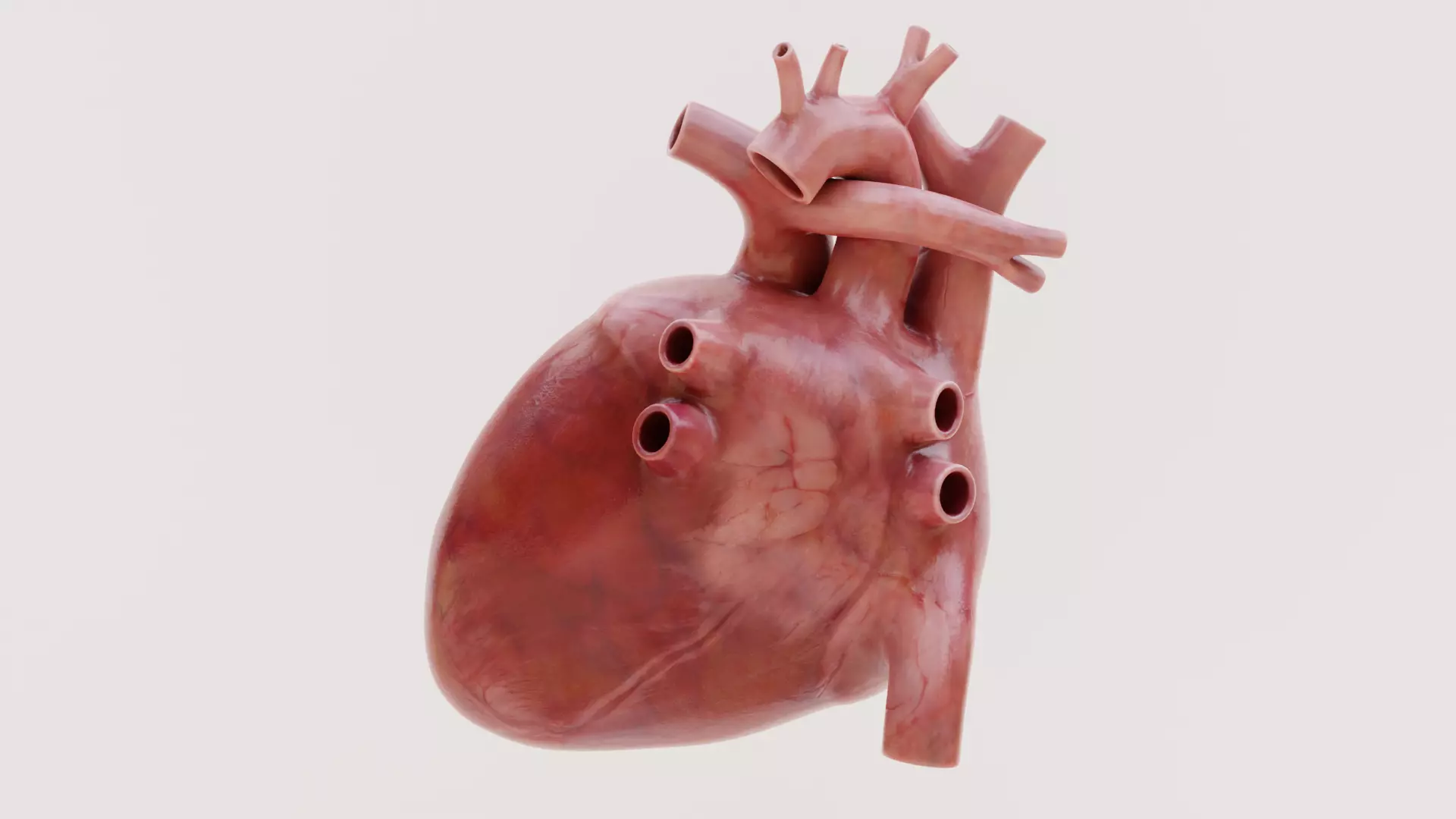 -Heart Animated- Low-poly 3D model_2