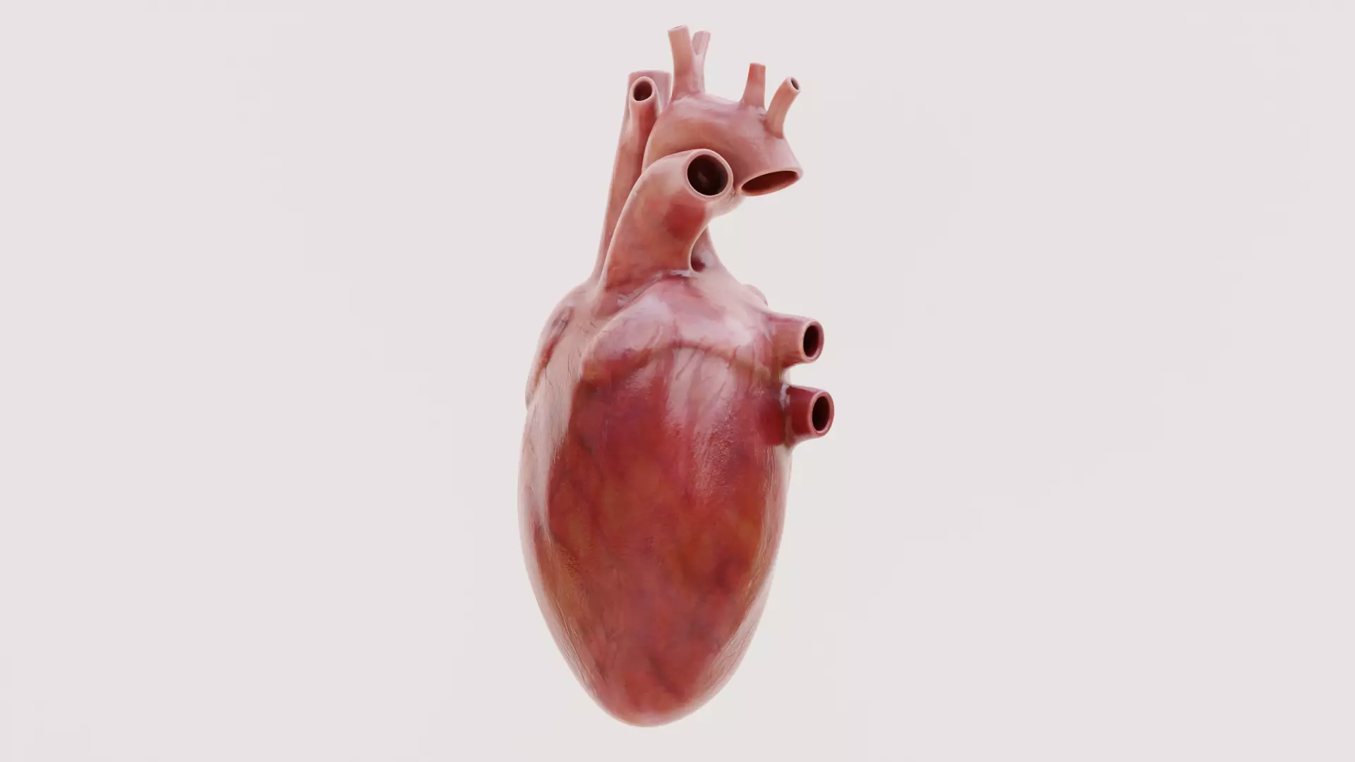 -Heart Animated- Low-poly 3D model_4