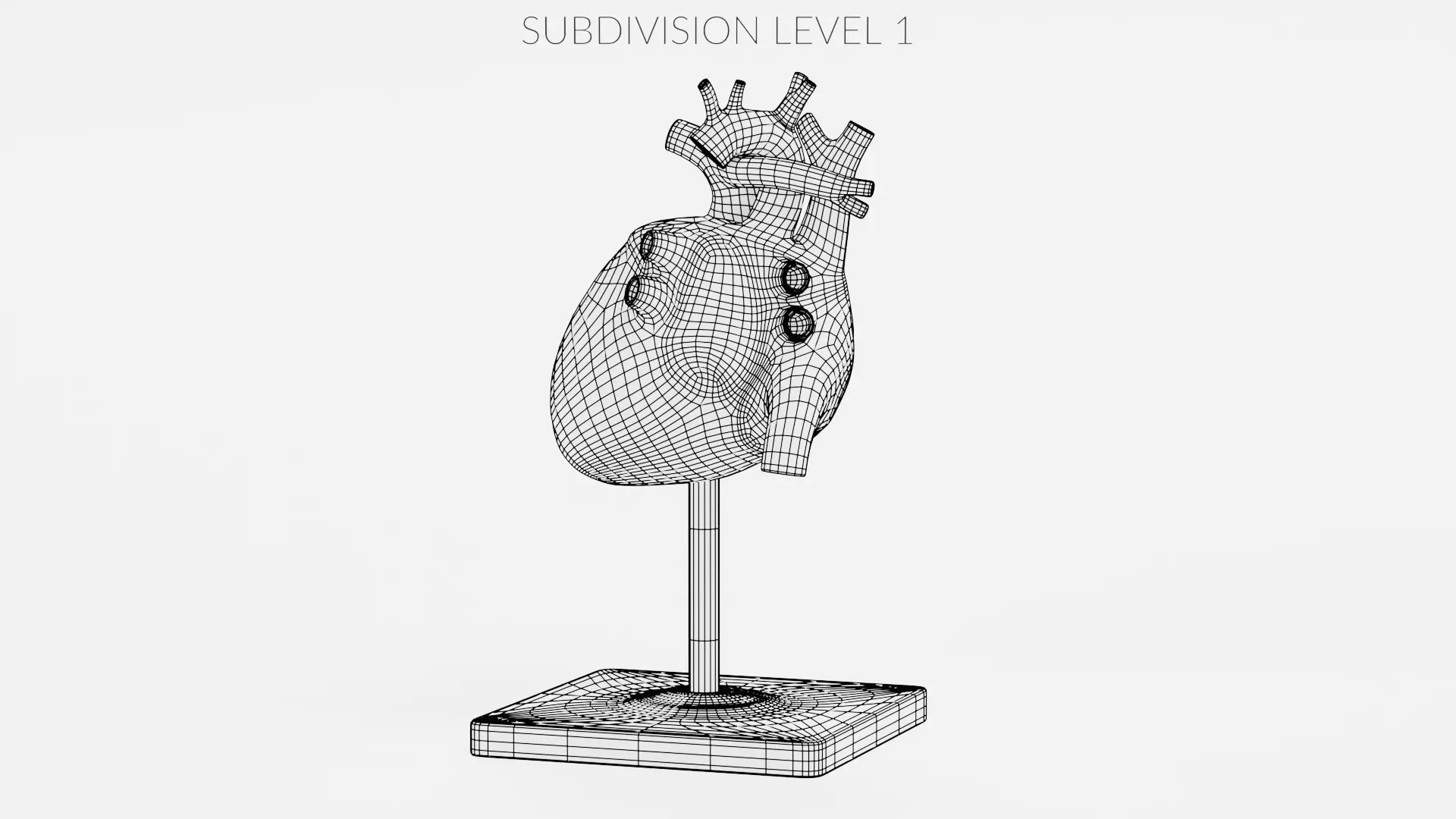 -Heart Model- Low-poly 3D model_11