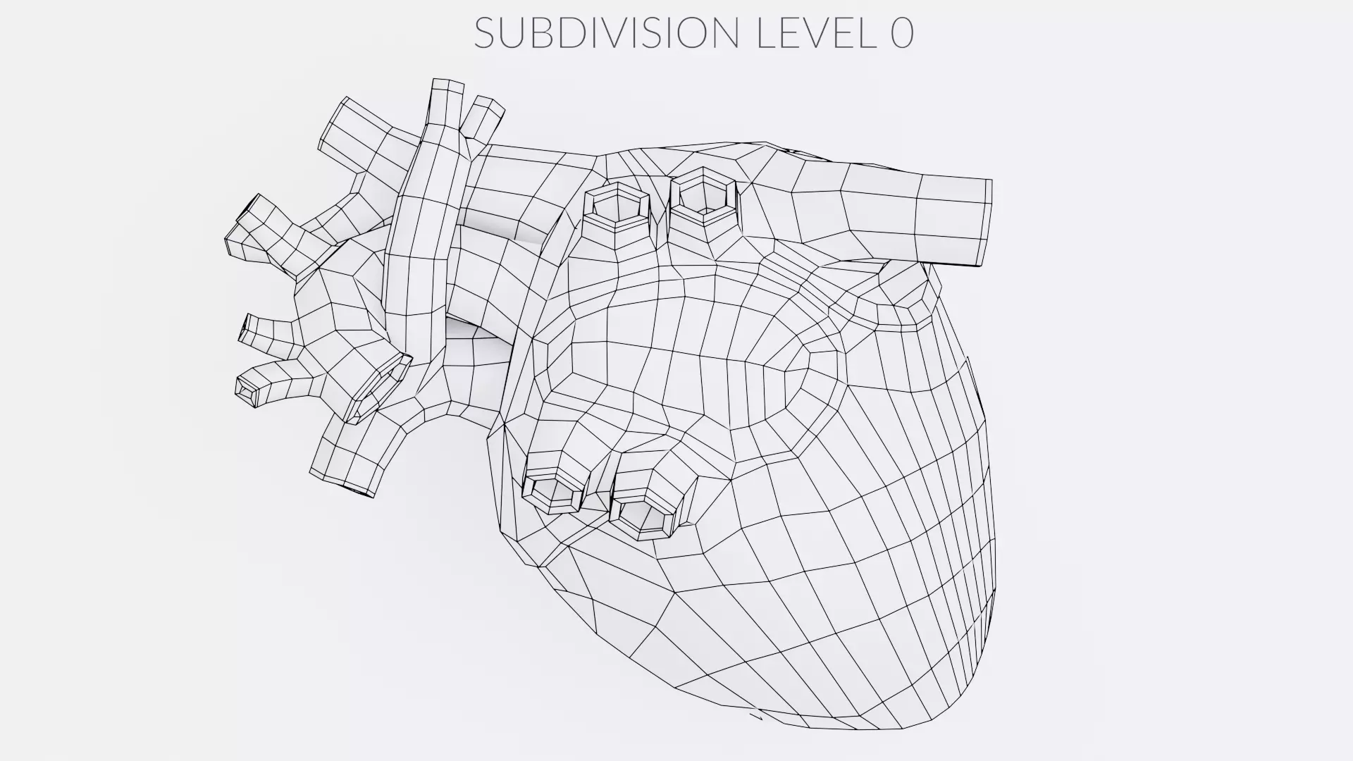 -Realistic Heart- 3D model_12