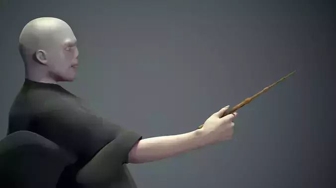 Lord Voldemort Dark Lord