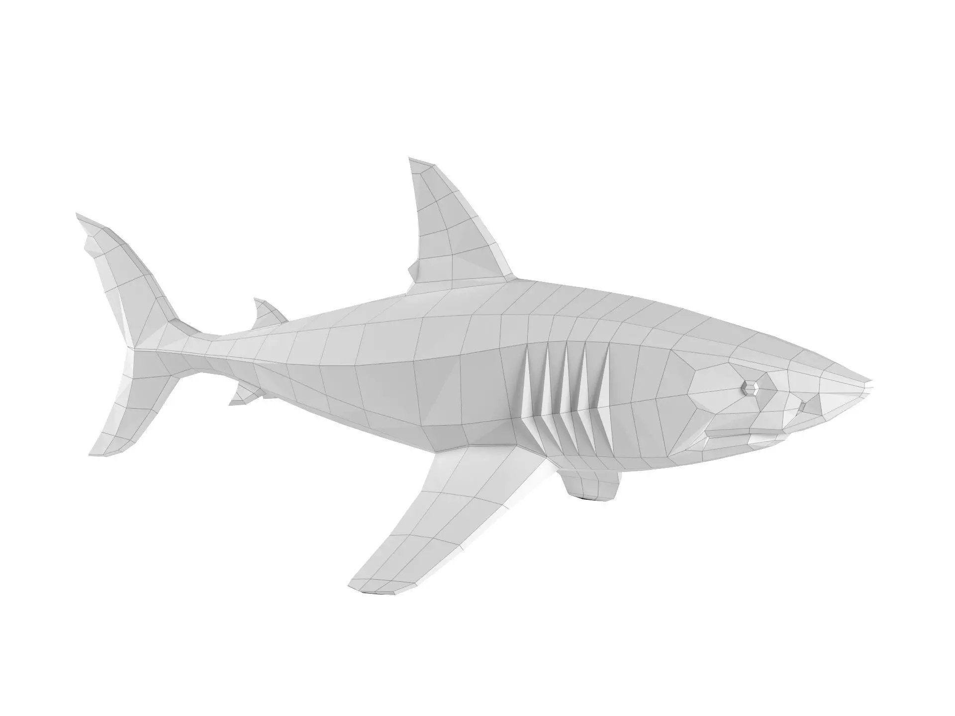Shark 3D print model_2