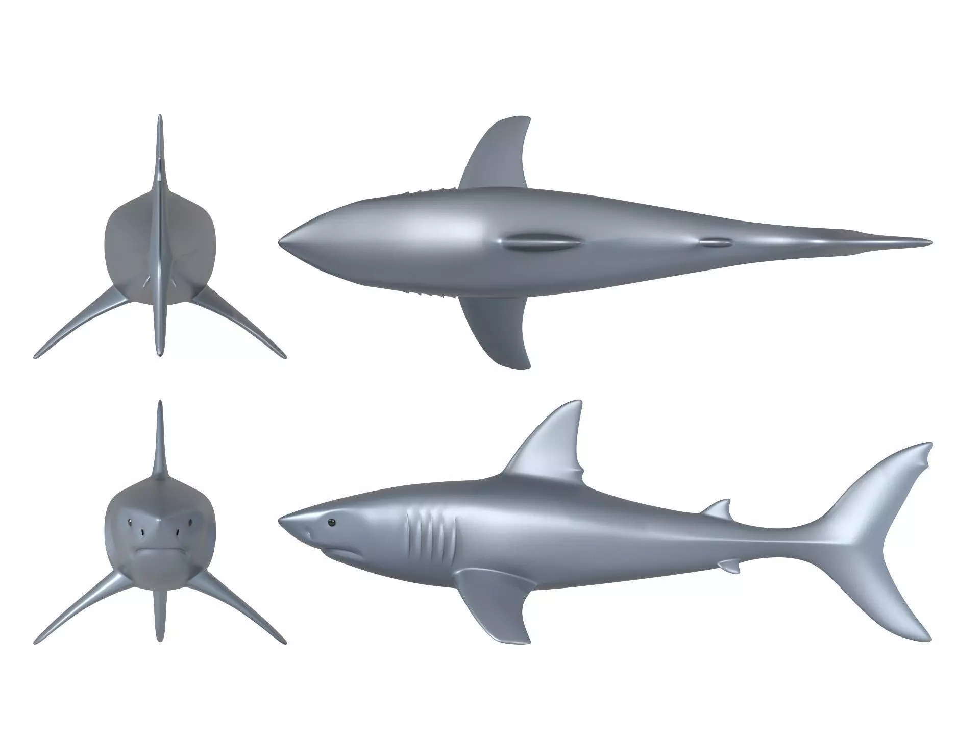 Shark 3D print model_3