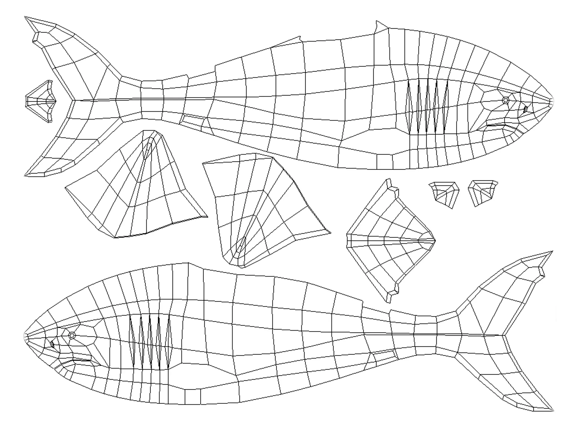 Shark 3D print model_4