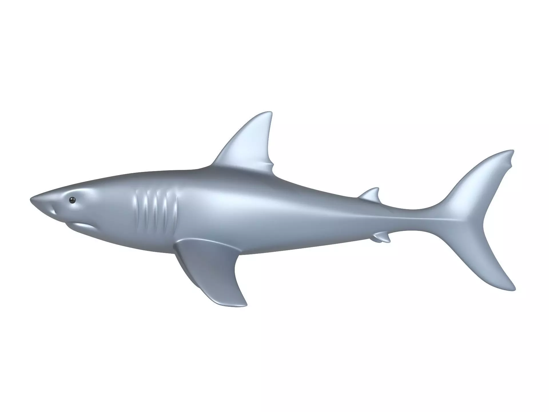 Shark 3D print model_8