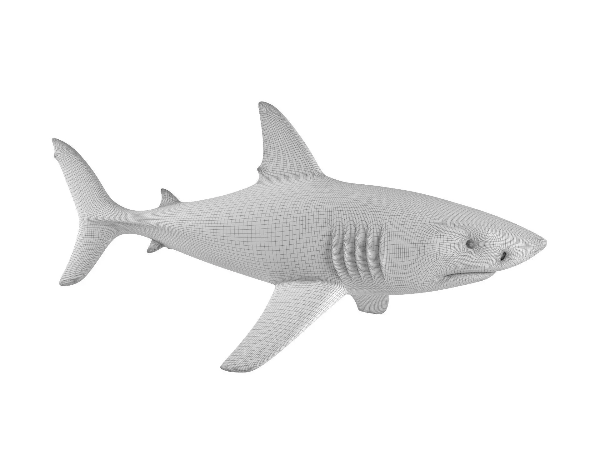 Shark 3D print model_1