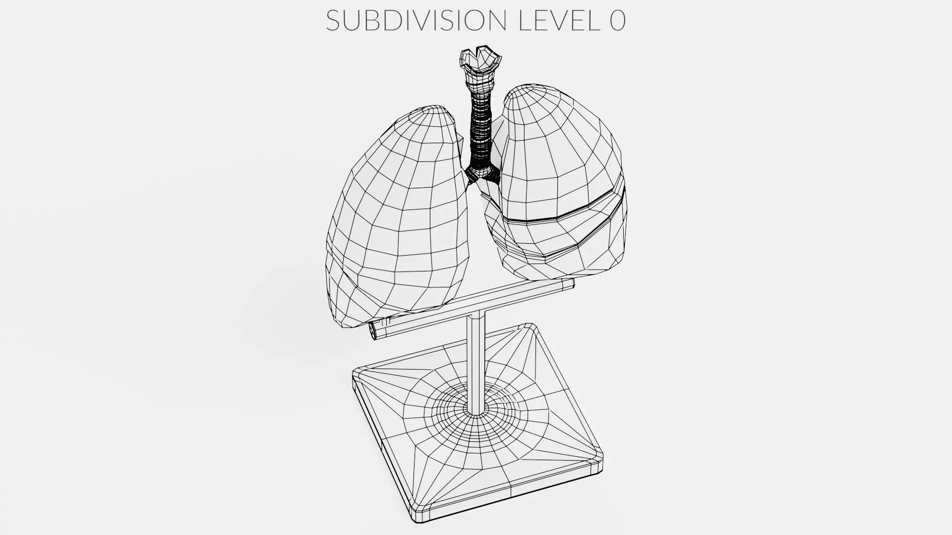 -Lungs Model- 3D model_9