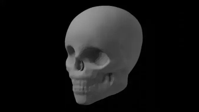 Skull Sculpt