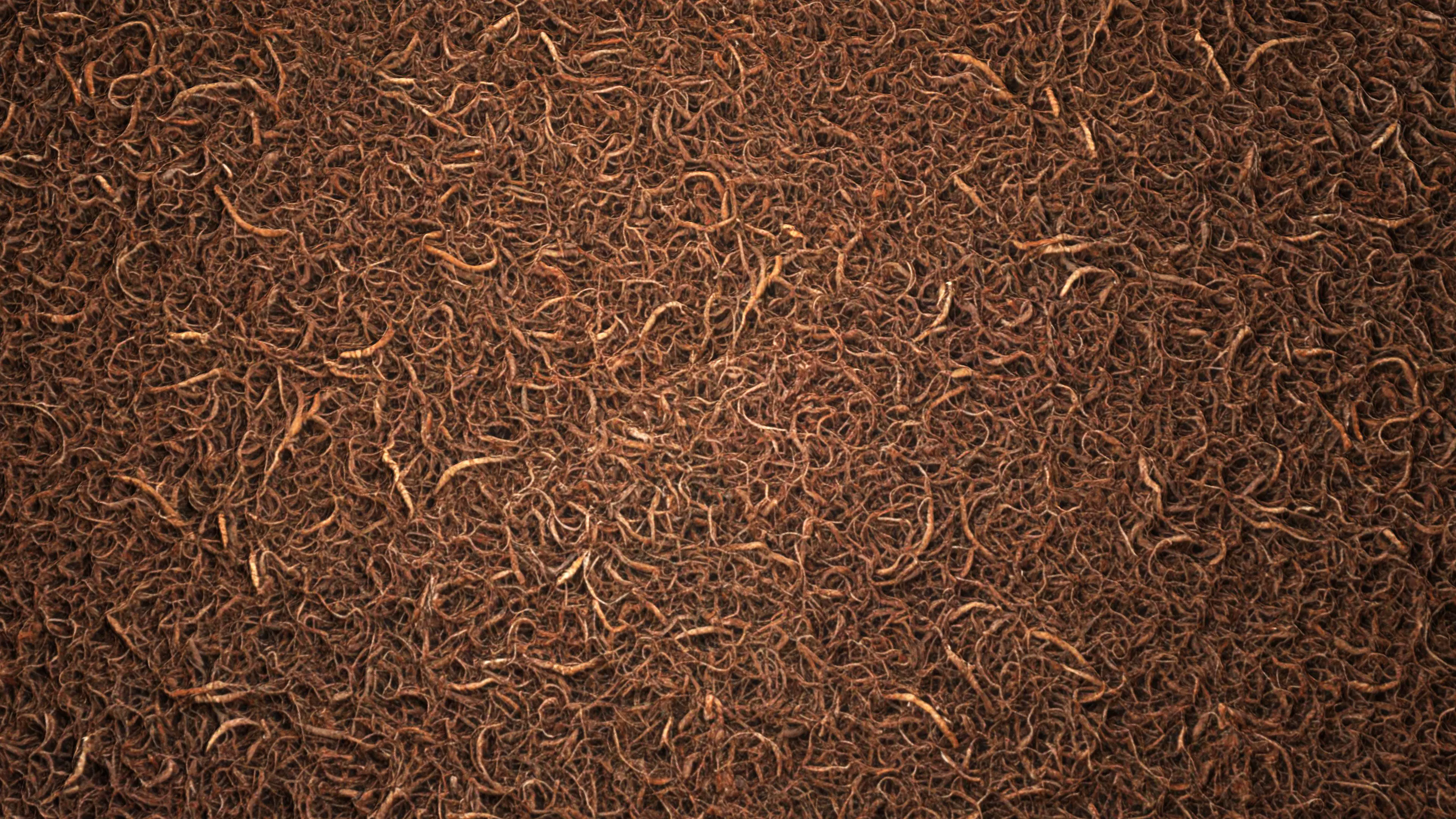 Doormat 8K PBR Texture Texture_1