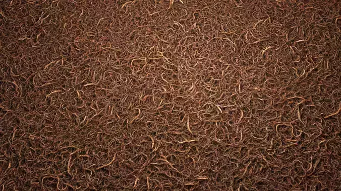 Doormat 8K PBR Texture Texture